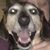 Judy Sorensen's profile image