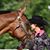Melissa A Schuster's profile image