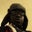 Folababa Akinmolayan's profile image