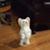 Penelope Henderson's profile image