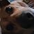 Greg Palmieri's profile image