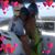Sandy Perez's profile image