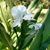 Margo Ashford's profile image