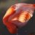 Linda Hannifin's profile image