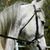 Colleen Gallos's profile image