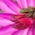 Kate du Plessis's profile image