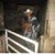 Francisco Mireles's profile image