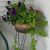 Suzette Cannon's profile image