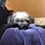 Nena Whitney Scott's profile image