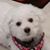 Ann Reynolds's profile image