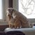 Shelly Blindert Petronis's profile image