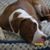 Debbie Bales's profile image