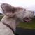 Melody Nelson Hoffman's profile image