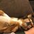 Candy Veroneau's profile image