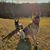 Krista Rowland's profile image