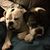 Jodi Holz's profile image