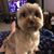 Schelle S Gordon's profile image