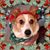 Alta Wendell's profile image