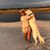 Nurys S Naranjo's profile image
