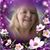 Sue Wells's profile image