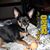 Sharon Simmons's profile image