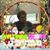 Deb Geissler's profile image