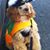 Stanley H McGruff's profile image