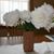 Lisa Kamyk Johnson's profile image