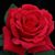 Philip Edmunds's profile image