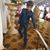 Arif Ali Momin's profile image