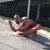 Ryan King's profile image