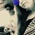 Kelsey Huene-henseler's profile image