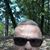 Chris Kerr's profile image