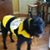 Mary Garvey Olen's profile image