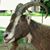 Karrie Sedlmeyer's profile image