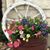 Ann Schroeder Johnson's profile image