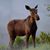 Dawn O'Neil's profile image