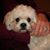 Gerry Willett's profile image