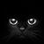 Kelly LaFortune Scholte's profile image