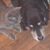 Paula Thomas Yeager's profile image
