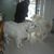 Dorothy Sisson's profile image