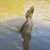 Kathy Tucker's profile image