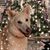 Christy Folden's profile image