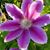 Alexandra Bohn's profile image