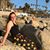 Samantha Foster's profile image