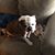 Kerri Sharp's profile image