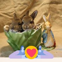 Carie Barlett-Creager's profile image