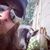 Micah Crook Innecken's profile image