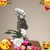 Aide Segovia's profile image