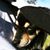 Angel Yazzie's profile image